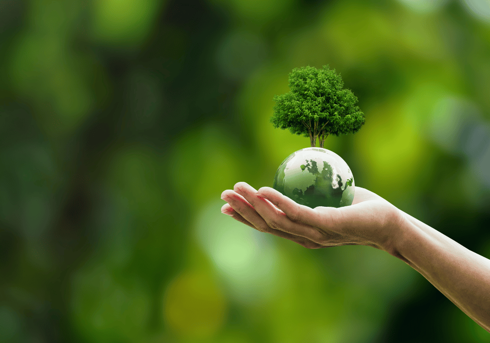 Green globe with a tree sprouting from the top in the palm of someones hand