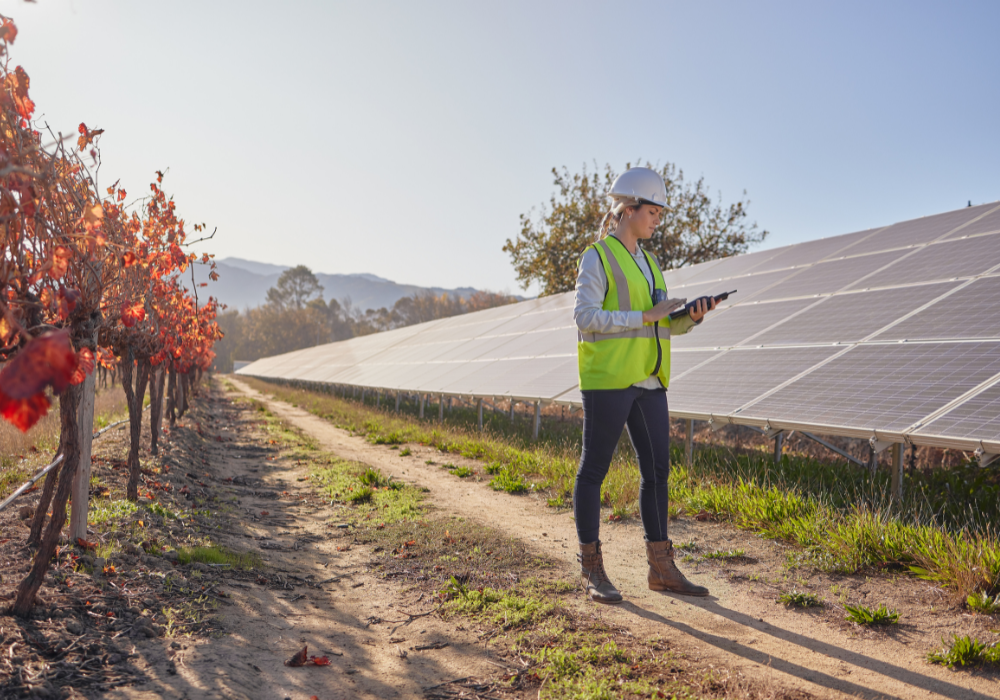 Female inspector in vineyard with solar panels