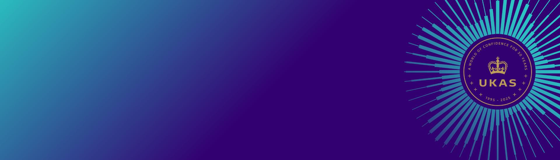 25th Anniversary Header Banner