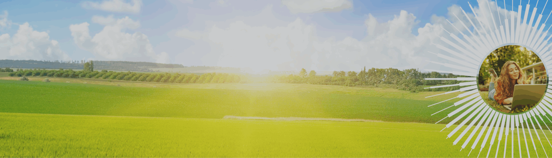 Woman on laptop in sunny field